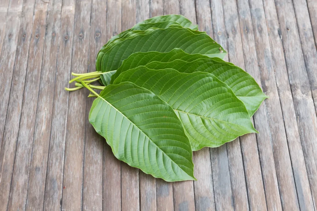 types of kratom