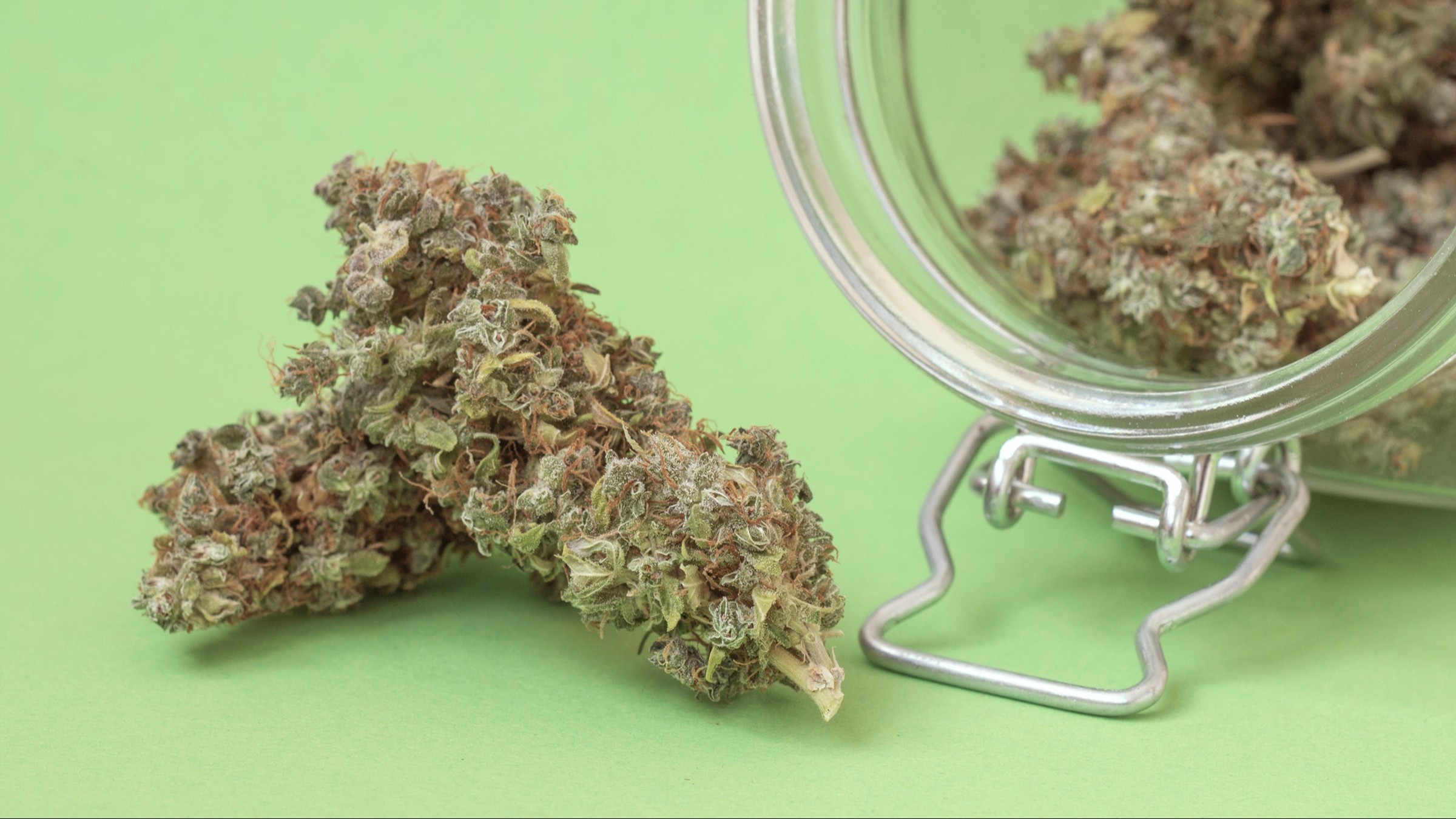 The Rise of HHC Flower: Why It's Gaining Popularity among Cannabis Enthusiasts